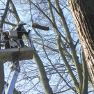 9_3_11 025_jpg-1300321310