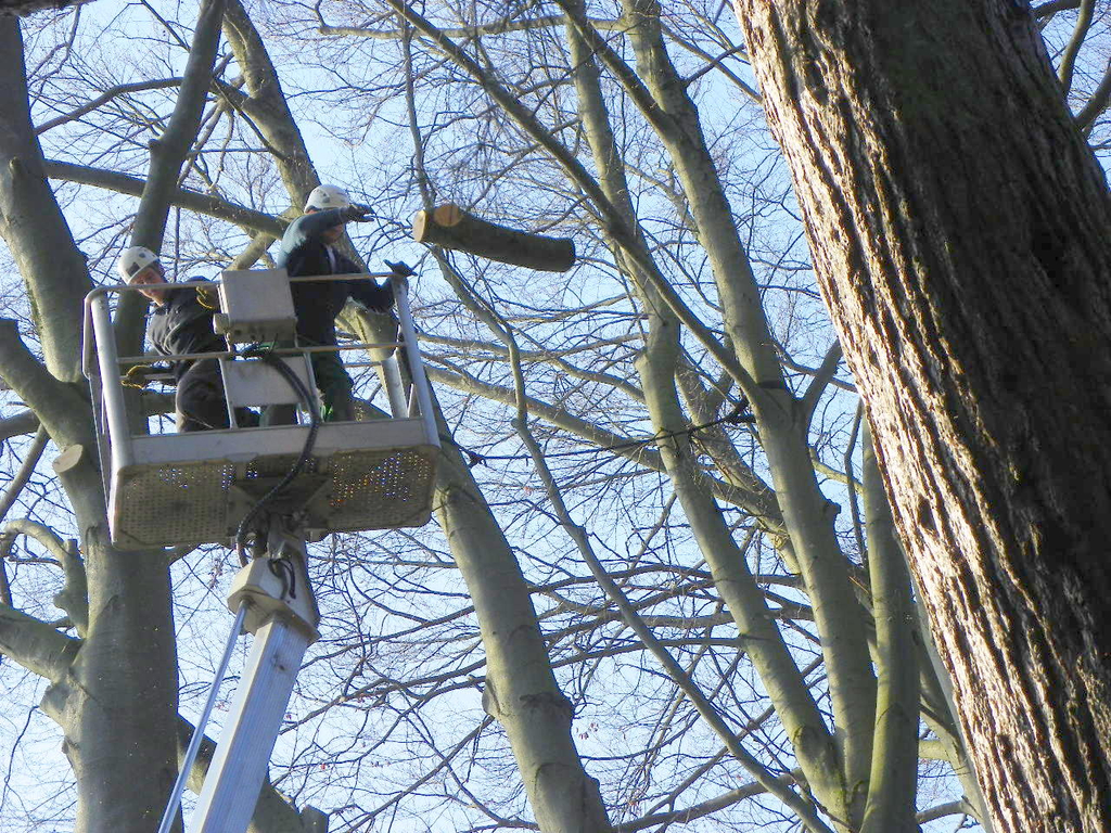 9_3_11 025_jpg-1300321310