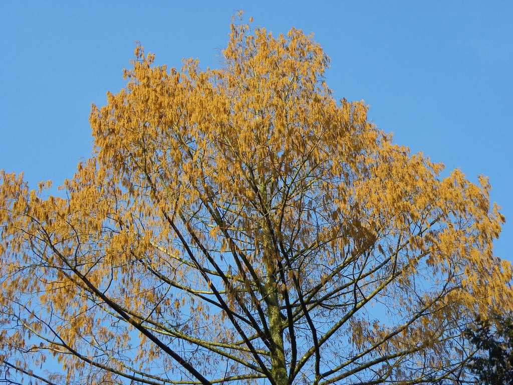 9_3_11 027_jpg-1300321317