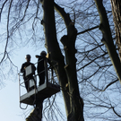 9_3_11 028_jpg-1300321325