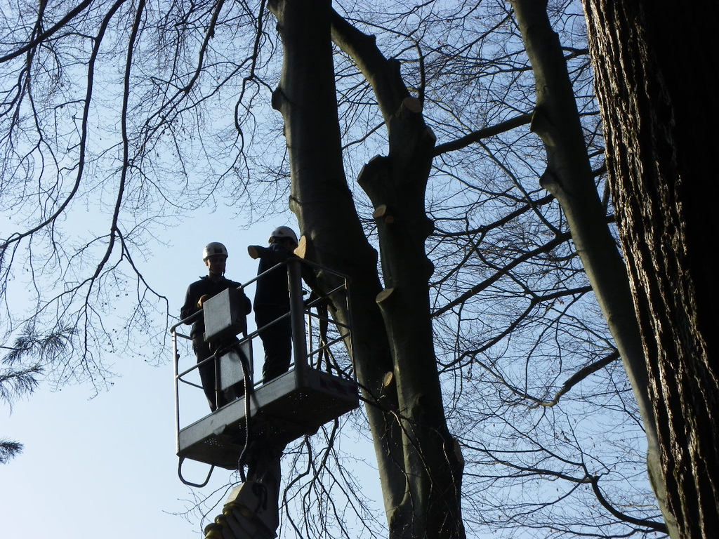 9_3_11 028_jpg-1300321325