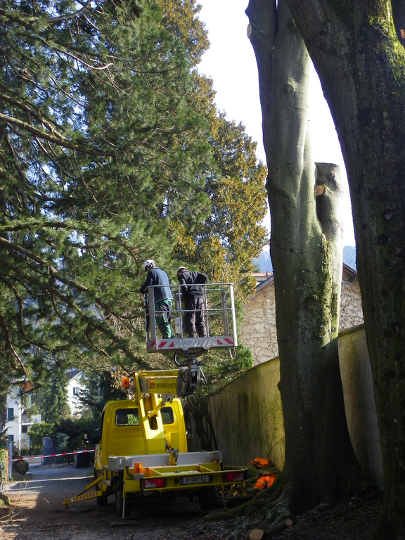 9_3_11 031_jpg-1300321333