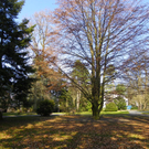 9_3_11 004_jpg-1300321348