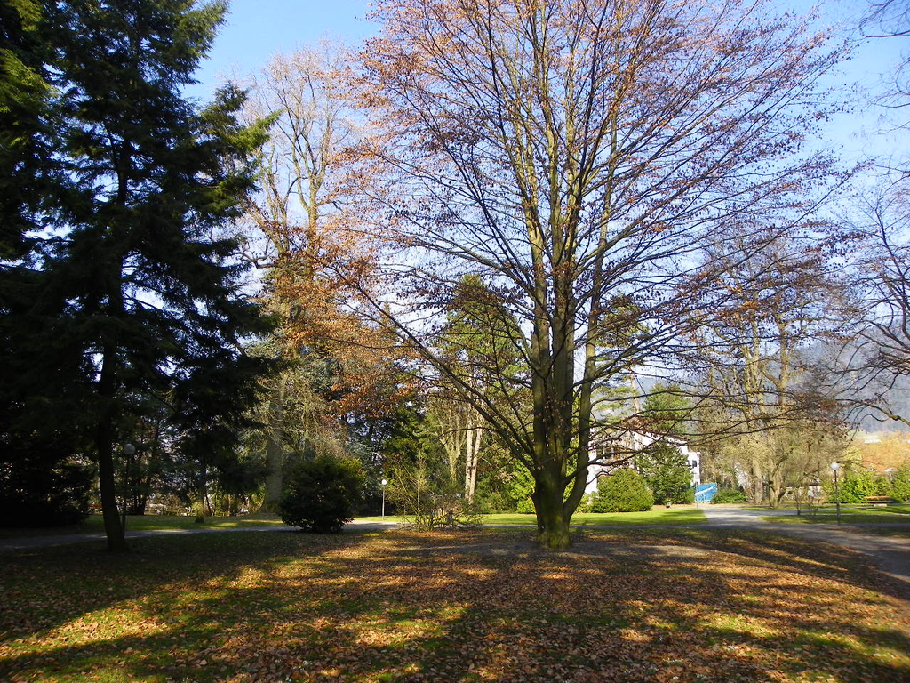 9_3_11 004_jpg-1300321348