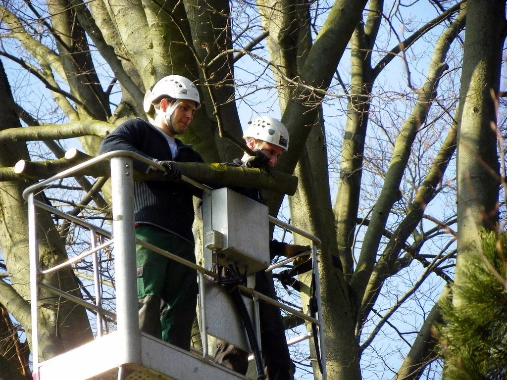 9_3_11 011_jpg-1300321369