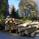 9_3_11 013_jpg-1300321377