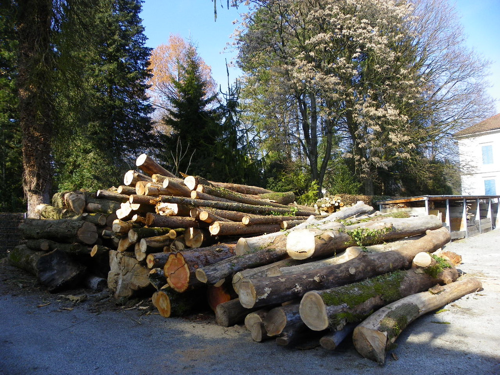 9_3_11 013_jpg-1300321377