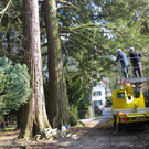 9_3_11 032_jpg-1300321340