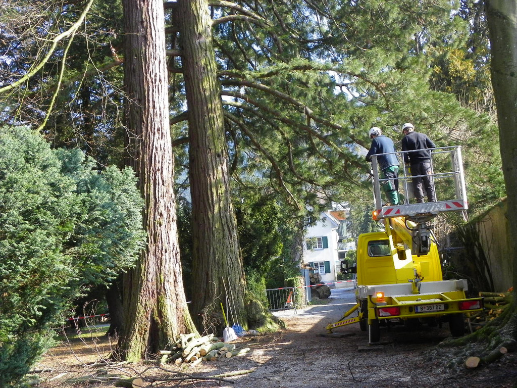 9_3_11 032_jpg-1300321340