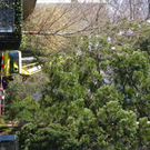 9_3_11 015_jpg-1300321385