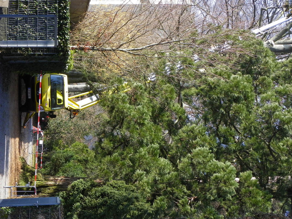 9_3_11 015_jpg-1300321385