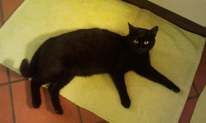 2011-03-16 21_33_45.jpg