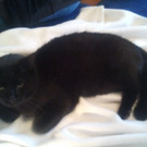 2011-03-17 08_25_59.jpg