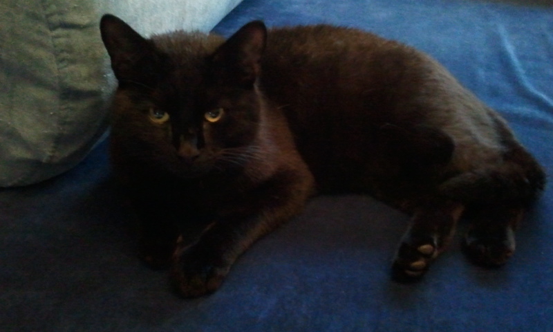 2011-03-17 08_13_06.jpg