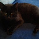 2011-03-17 08_13_06.jpg