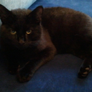 2011-03-17 08_13_06.jpg