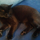 2011-03-17 08_25_06.jpg