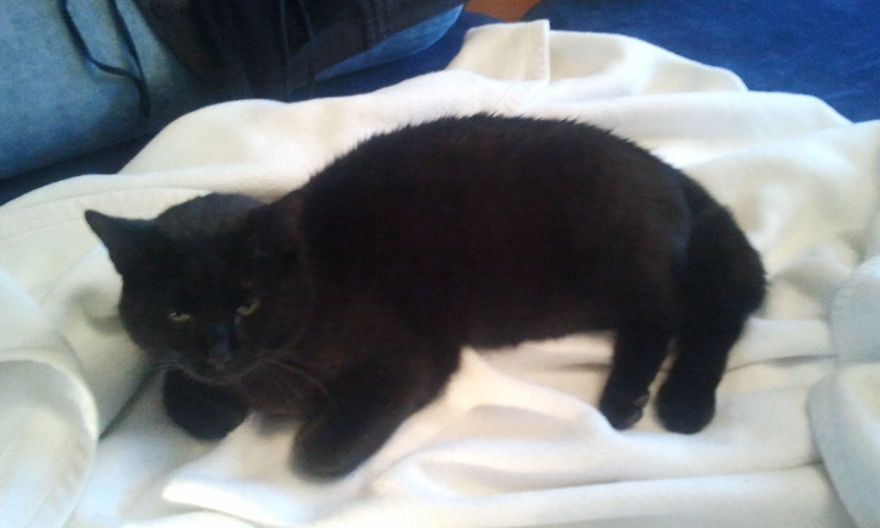 2011-03-17 08_25_59.jpg