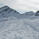 IMG_7199.jpg