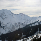 IMG_7189.jpg