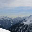IMG_7192.jpg