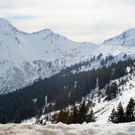 IMG_7190.jpg