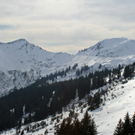 IMG_7188.jpg