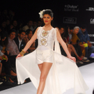 dc1-5yqnifeygkl182hef7jt_original.jpg