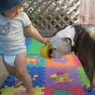 Zuckersüß: Kinder mit Tieren