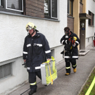 BrandWals18031102.jpg