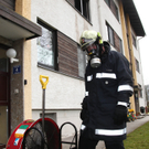 BrandWals18031105.jpg