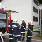 BrandWals18031106.jpg