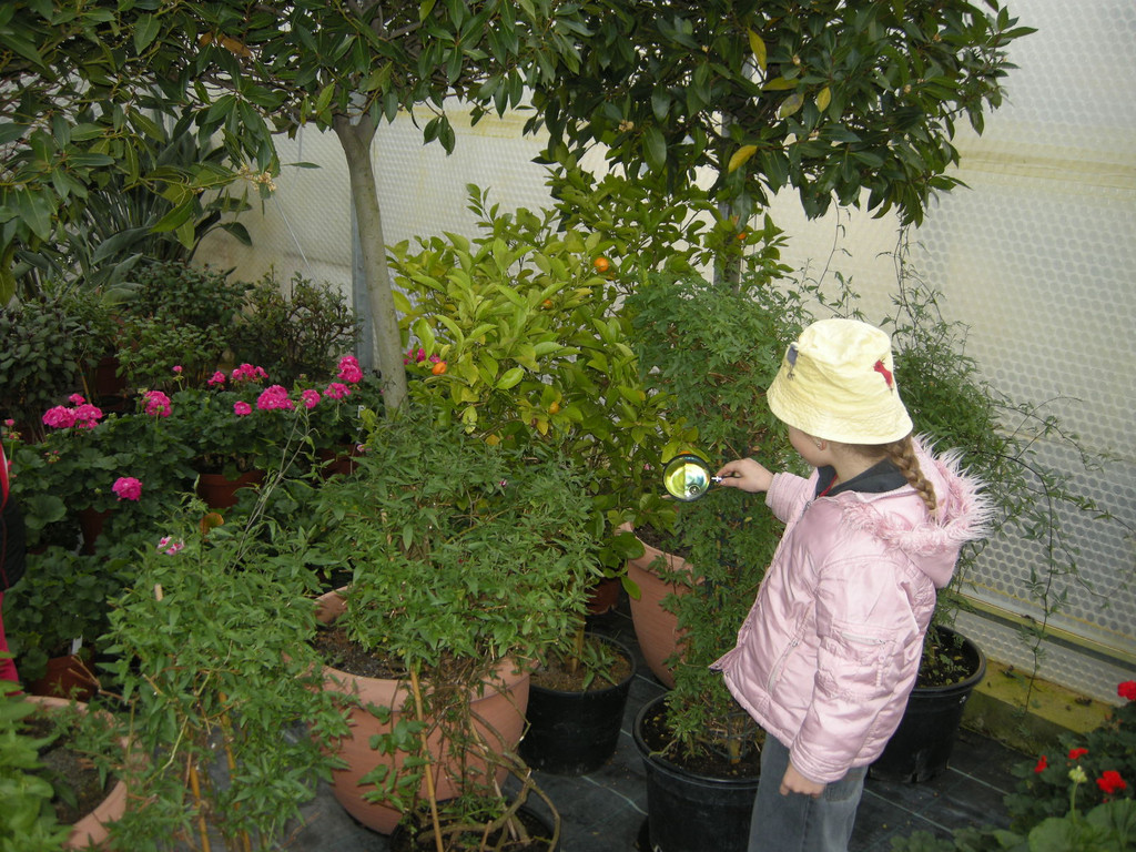 DSCN3880_JPG-1300468527