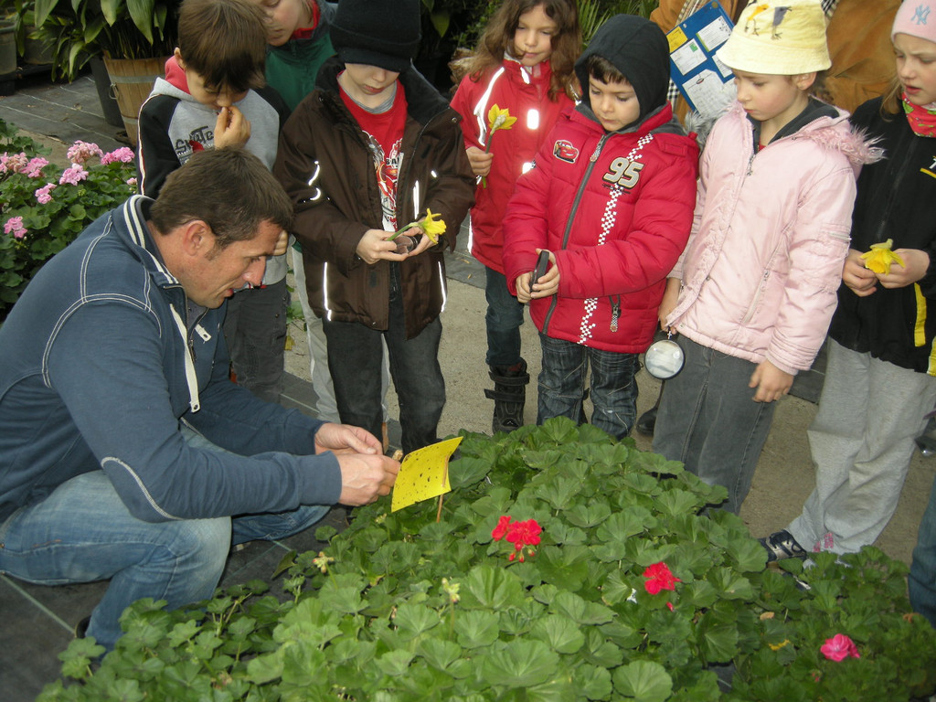 DSCN3883_JPG-1300468538