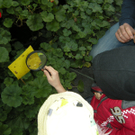 DSCN3884_JPG-1300468549
