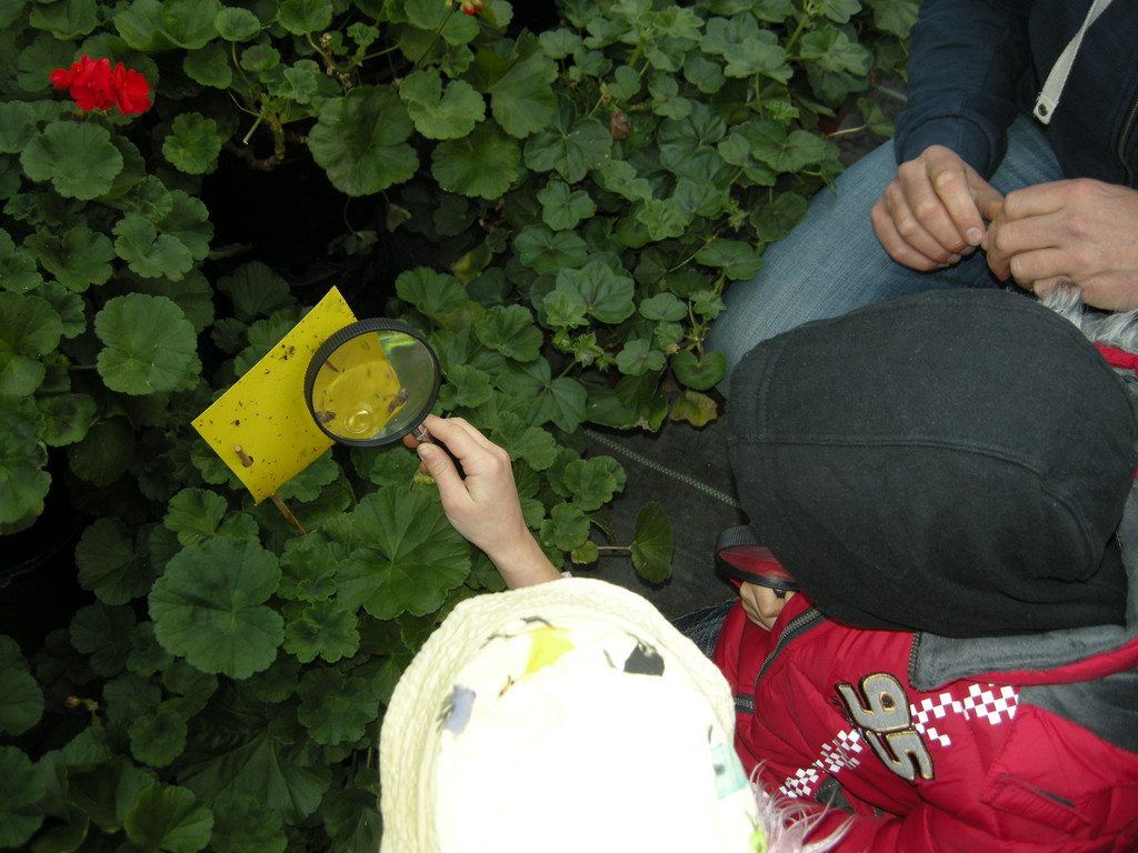 DSCN3884_JPG-1300468549