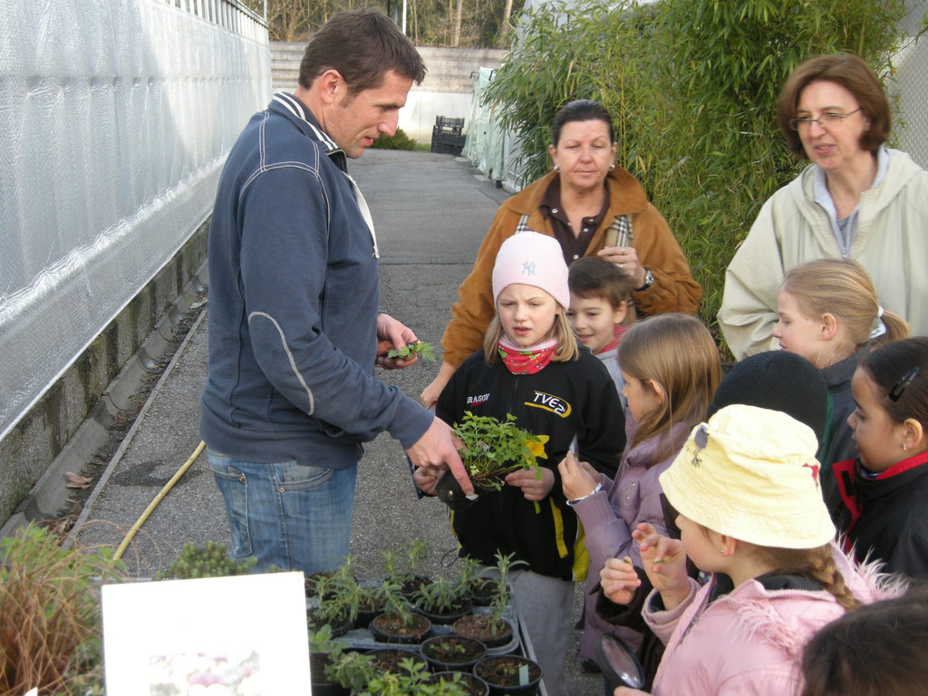 DSCN3890_JPG-1300468575