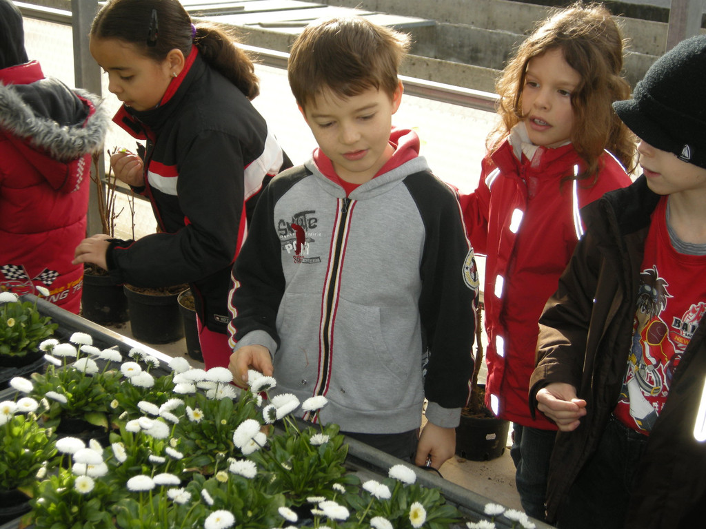 DSCN3892_JPG-1300468585