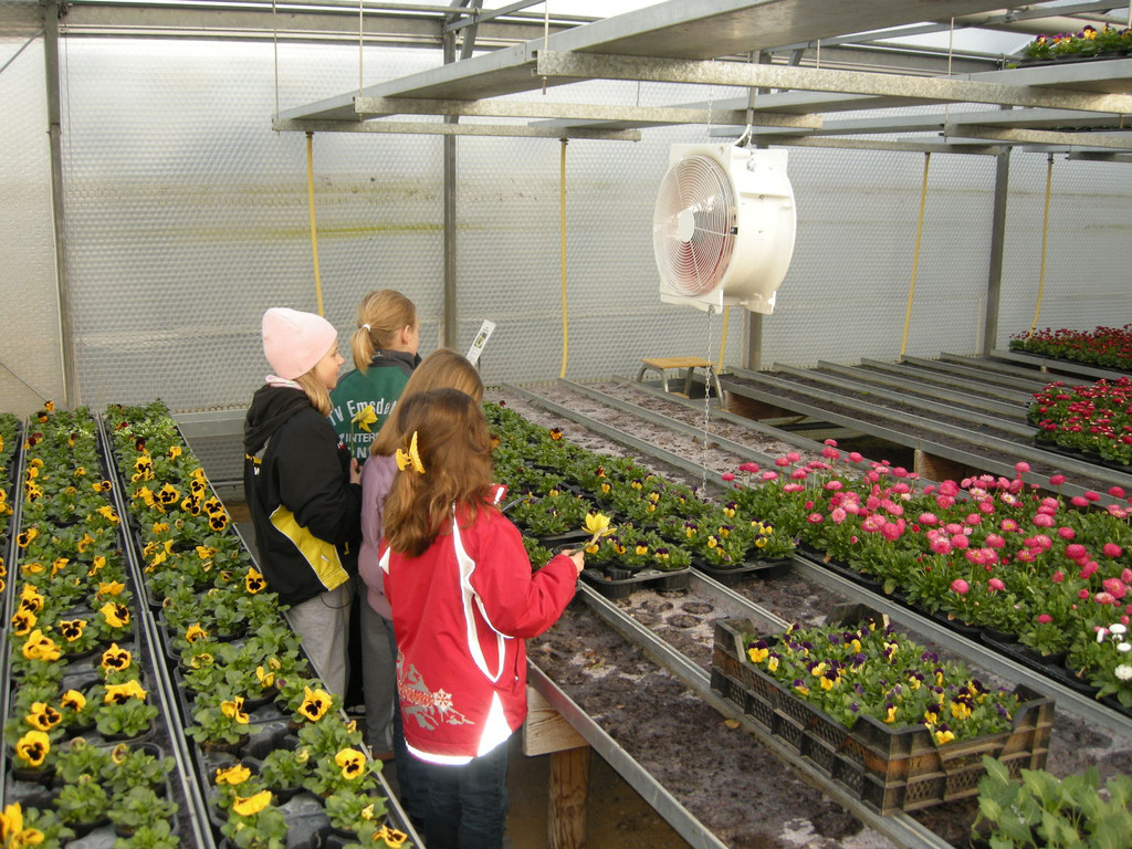 DSCN3899_JPG-1300468620