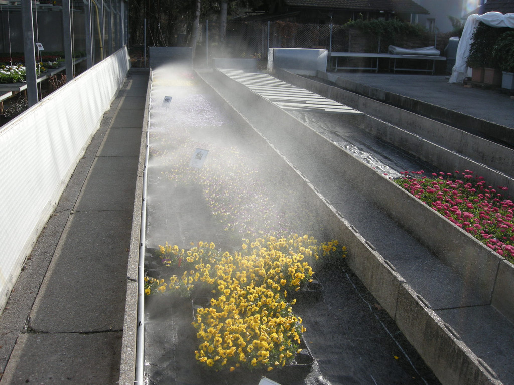 DSCN3902_JPG-1300468631