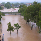 dc1-5pt0vnp913q44zfgcki_original.jpg