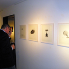 109_8217_JPG-1300494287