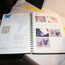 109_8233_JPG-1300496404