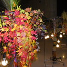 108_8647_jpg-1300529675