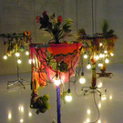 108_8641_jpg-1300529630