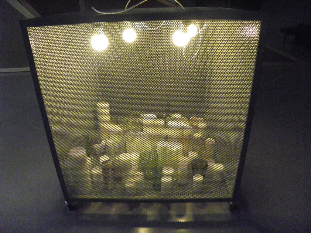 108_8708_jpg-1300529546