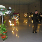 108_8643_jpg-1300529644