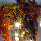 108_8646_jpg-1300529668