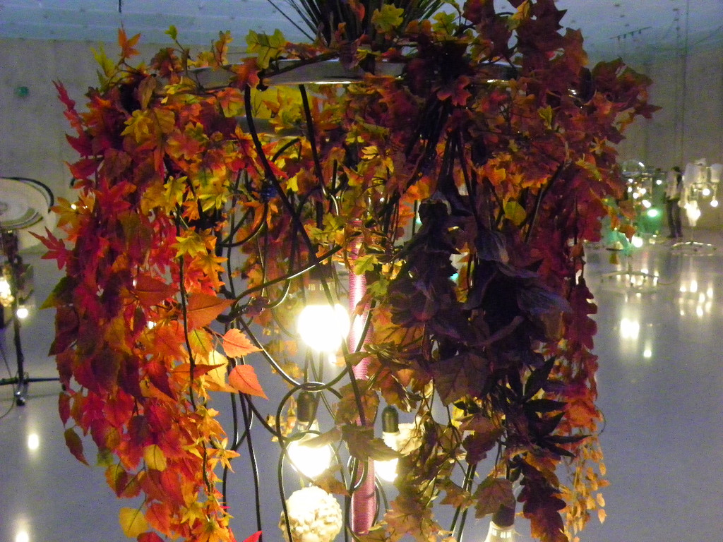 108_8646_jpg-1300529668