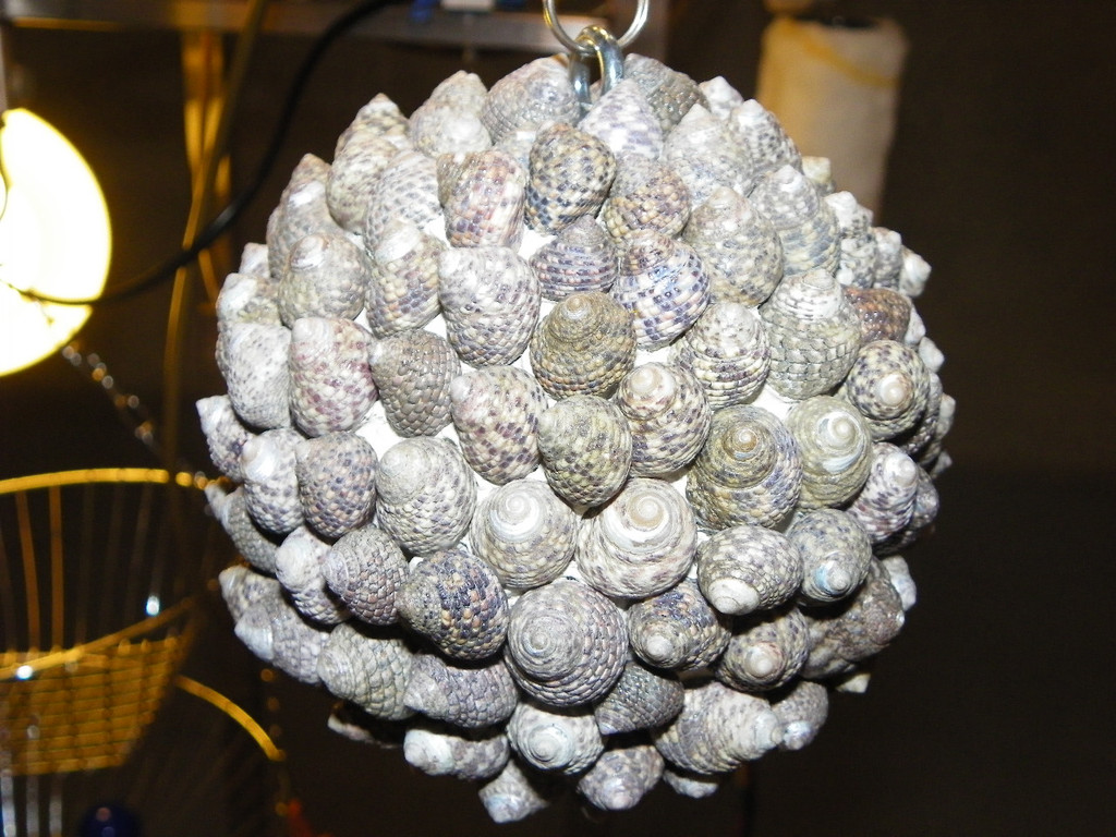 108_8664_jpg-1300529793